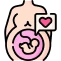 Pregnancy Delivery